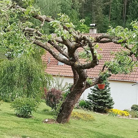 Ubytovani Iris Dolany  Exteriör bild