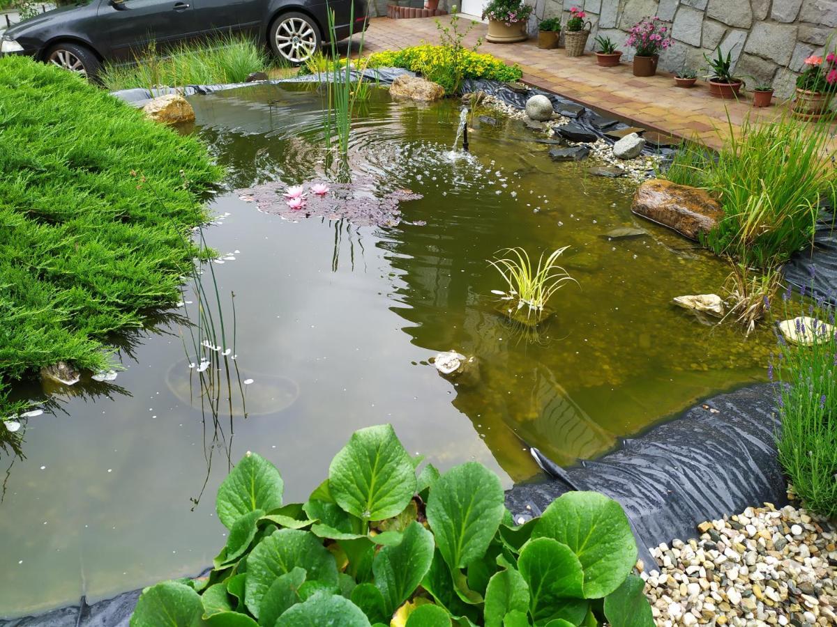 Ubytovani Iris Dolany  Exteriör bild
