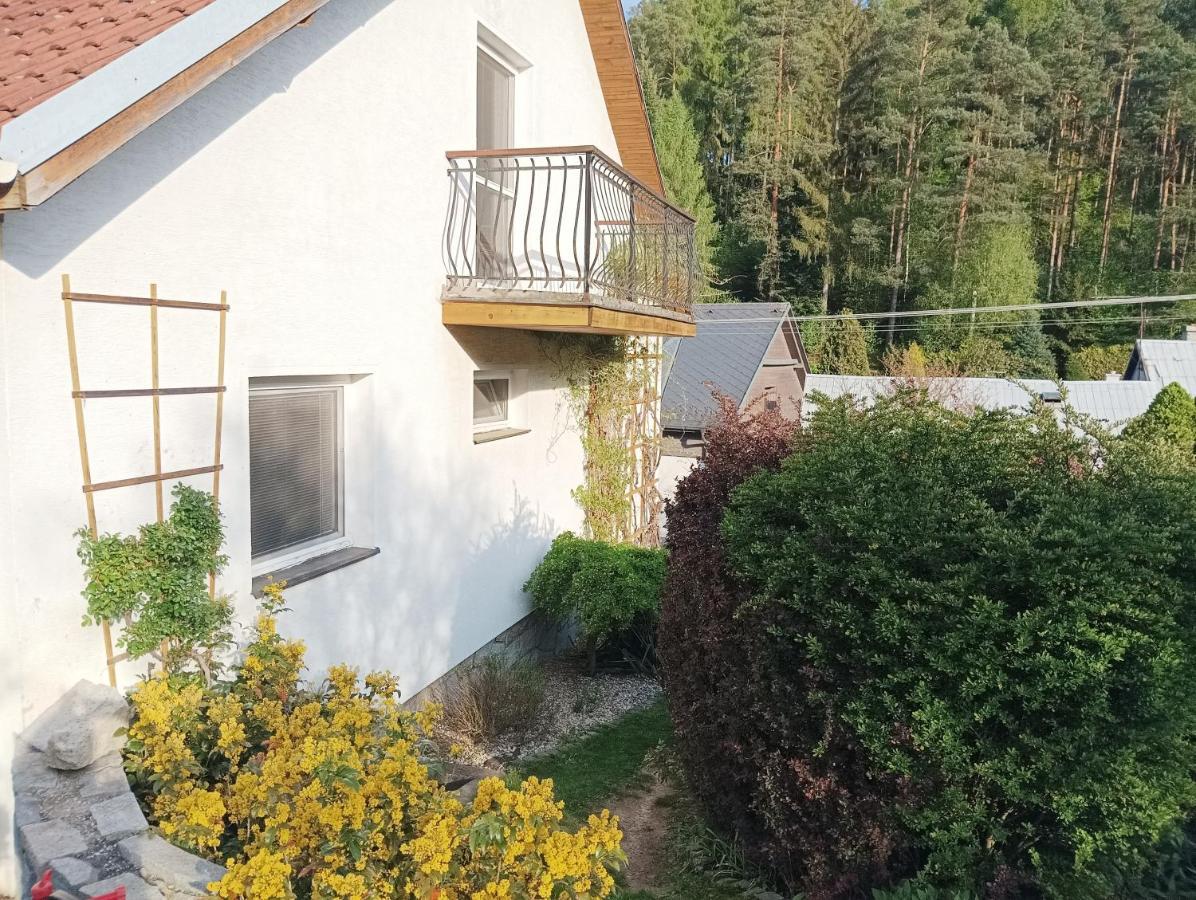 Ubytovani Iris Dolany  Exteriör bild