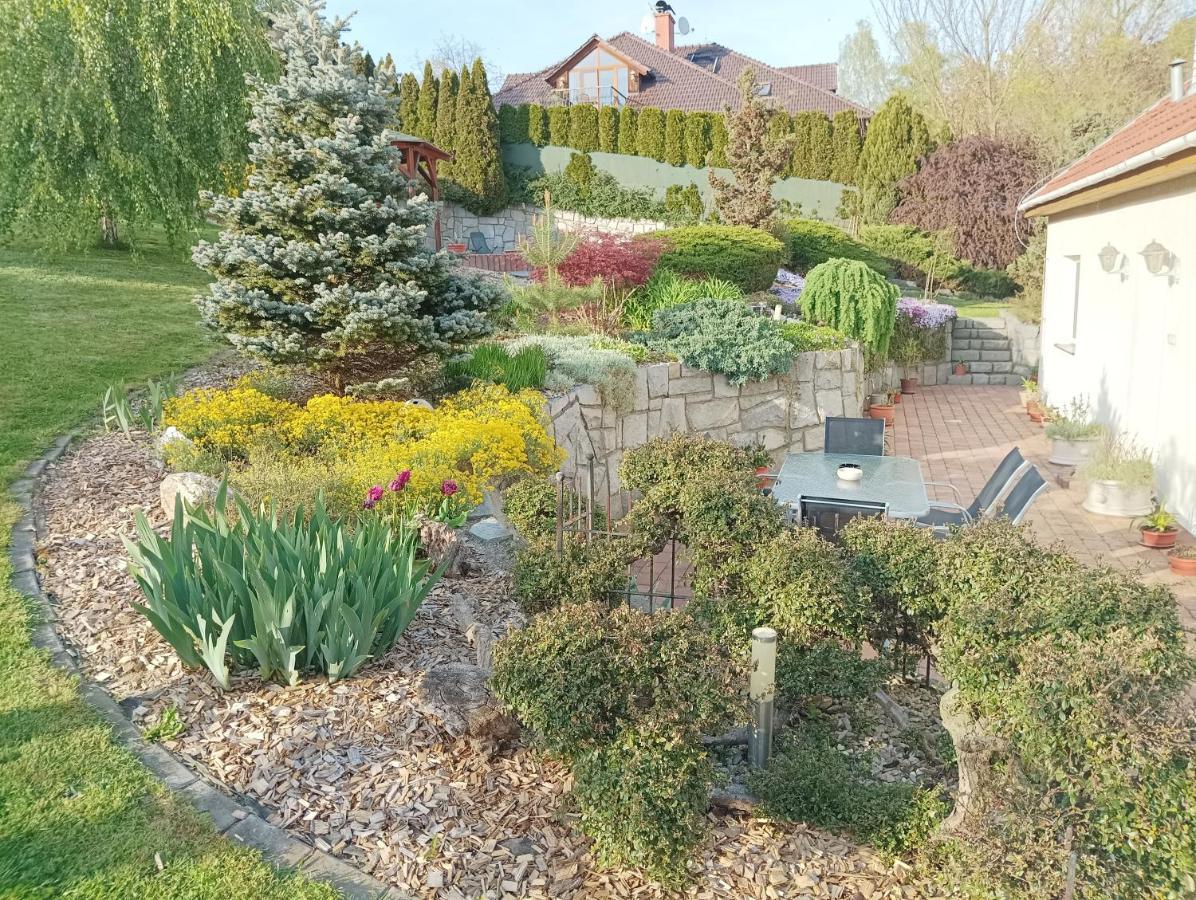 Ubytovani Iris Dolany  Exteriör bild
