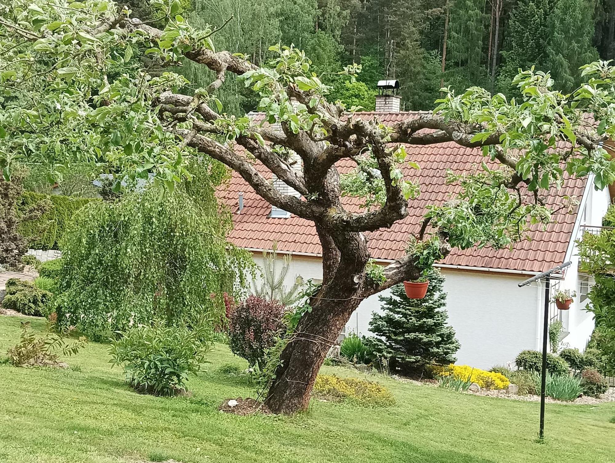 Ubytovani Iris Dolany  Exteriör bild